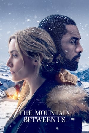 The Mountain Between Us (2017) ฝ่าหุบเขา เย้ยมรณะ ดูหนังออนไลน์ HD