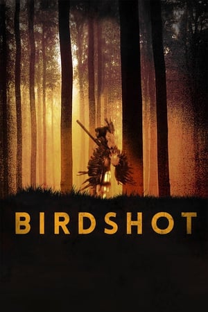 Birdshot (2016) (ซับไทย From Netflix) ดูหนังออนไลน์ HD