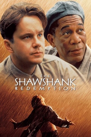 The Shawshank Redemption (1994) ชอว์แชงค์ มิตรภาพ ความหวัง ความรุนแรง ดูหนังออนไลน์ HD