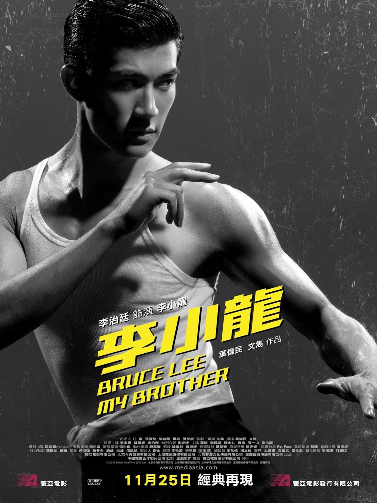 Bruce Lee My Brother (2010) บรู๊ซ ลี เตะแรกลั่นโลก ดูหนังออนไลน์ HD