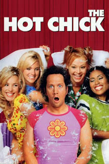 The Hot Chick (2002) ว้าย!…สาวฮ็อตกลายเป็นนายเห่ย ดูหนังออนไลน์ HD