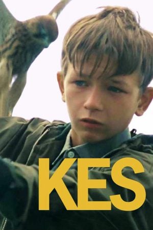 Kes (1969) จิตวิญญาณเสรี ดูหนังออนไลน์ HD