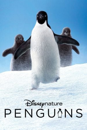 Penguins (2019) เพนกวิน ดูหนังออนไลน์ HD