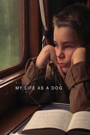 My Life as a Dog (Mitt liv som hund) (1985) บรรยายไทย ดูหนังออนไลน์ HD