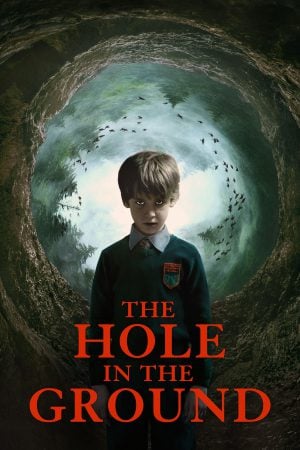 The Hole in the Ground (2019) มันมากับหลุมมรณะ ดูหนังออนไลน์ HD