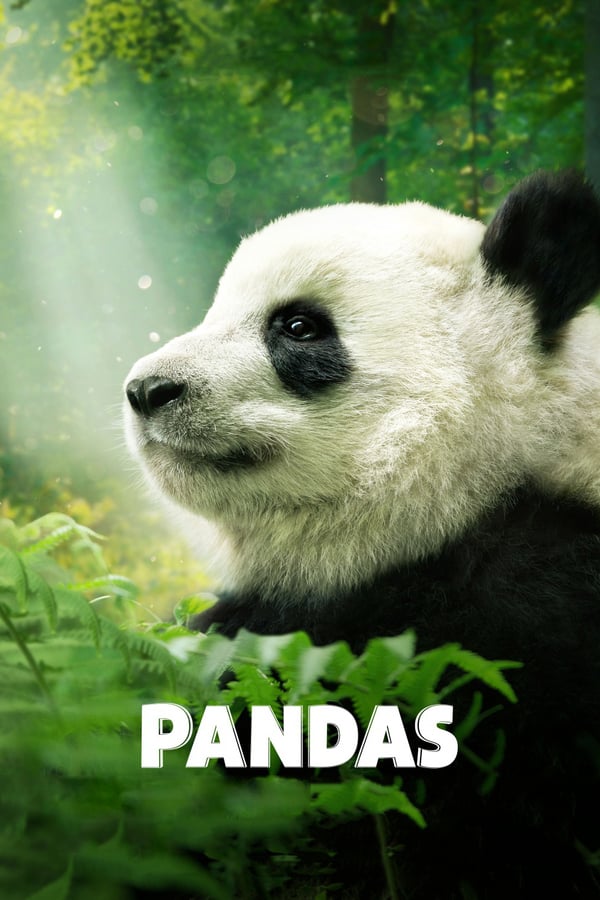 Pandas (2018) สารคดีแพนด้า ดูหนังออนไลน์ HD