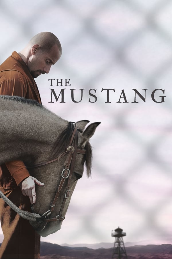 The Mustang (2019) ม้าป่าแสนพยศ ดูหนังออนไลน์ HD