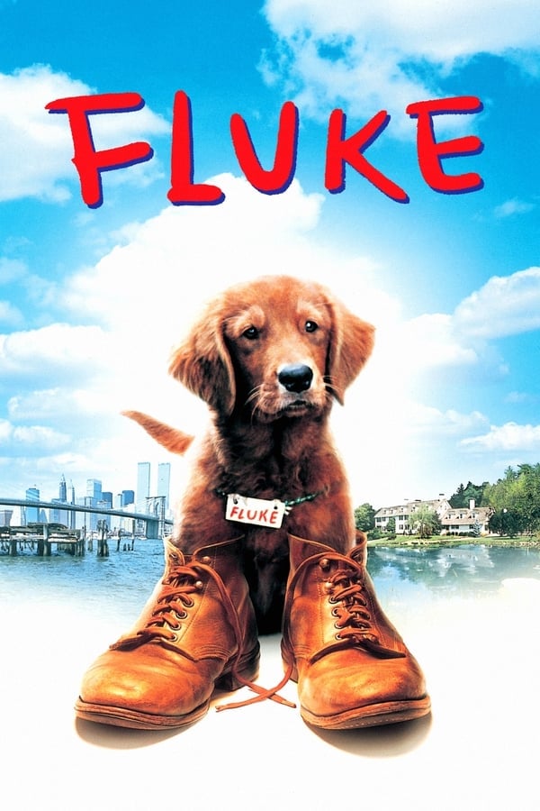 Fluke (1995) เกิดใหม่กลายเป็นหมา ดูหนังออนไลน์ HD