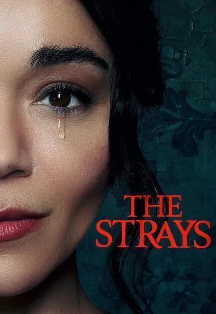The Strays (2023) คนหลงทาง ดูหนังออนไลน์ HD