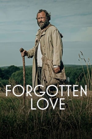 Forgotten Love (2023) รักที่ถูกลืม ดูหนังออนไลน์ HD