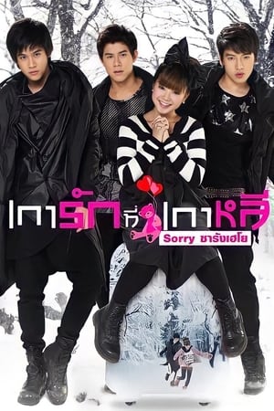 Sorry Saranghaeyo (2010) เการัก ที่เกาหลี Sorry ซารังเฮโย ดูหนังออนไลน์ HD