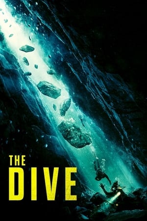 The Dive (2023) ดูหนังออนไลน์ HD