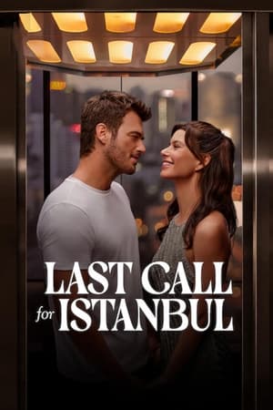 Last Call for Istanbul (2023) ประกาศรักครั้งสุดท้าย ดูหนังออนไลน์ HD
