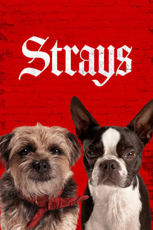 Strays (2023) ชีวิตหมาต้องไม่หมา ดูหนังออนไลน์ HD