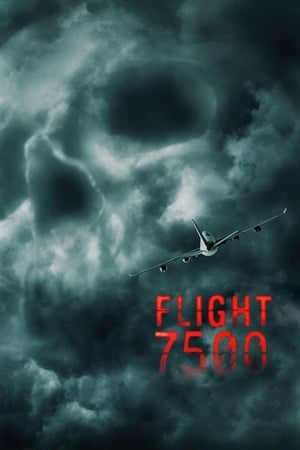 Flight 7500 (2014) ไฟลท์ 7500 ไม่ตกก็ตาย ดูหนังออนไลน์ HD