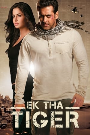 Ek Tha Tiger (2012) เรียกข้าว่า…เสือ ดูหนังออนไลน์ HD