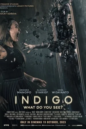 Indigo (2023) เธอเห็นอะไร ดูหนังออนไลน์ HD