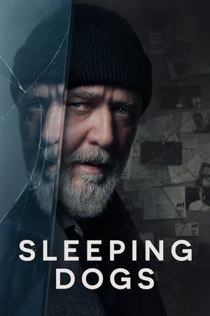 Sleeping Dogs (2024) ดูหนังออนไลน์ HD