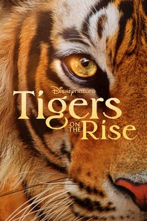 Tigers on the Rise (2024) ดูหนังออนไลน์ HD